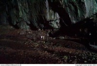 Cavernous cave