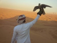 Guest Blog: Amazing Wildlife Encounters in Dubai
